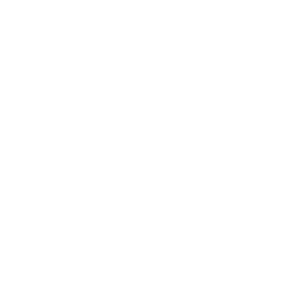Logo - Pressburg bajgel